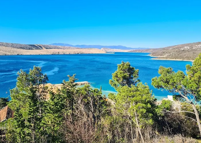 Cozy In With Wifi Apartament